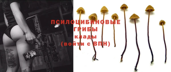 скорость Алзамай