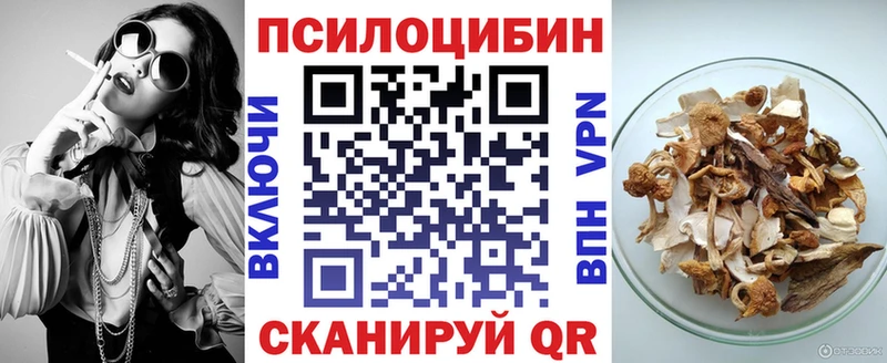 Галлюциногенные грибы Psilocybine cubensis  блэк спрут как войти  Гаврилов Посад 